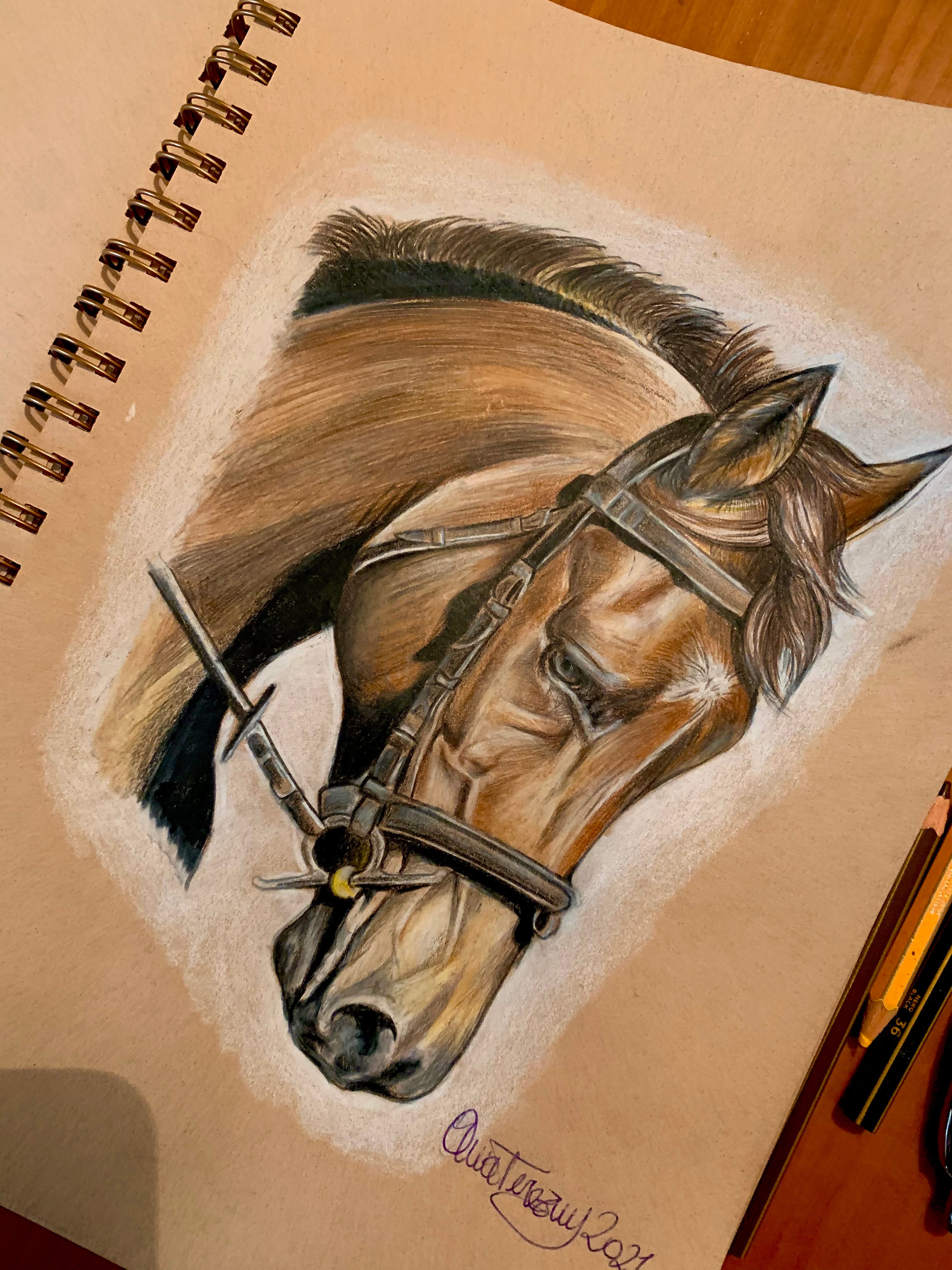 Ritratto Personalizzato a Pastelli - Commissione Artistica