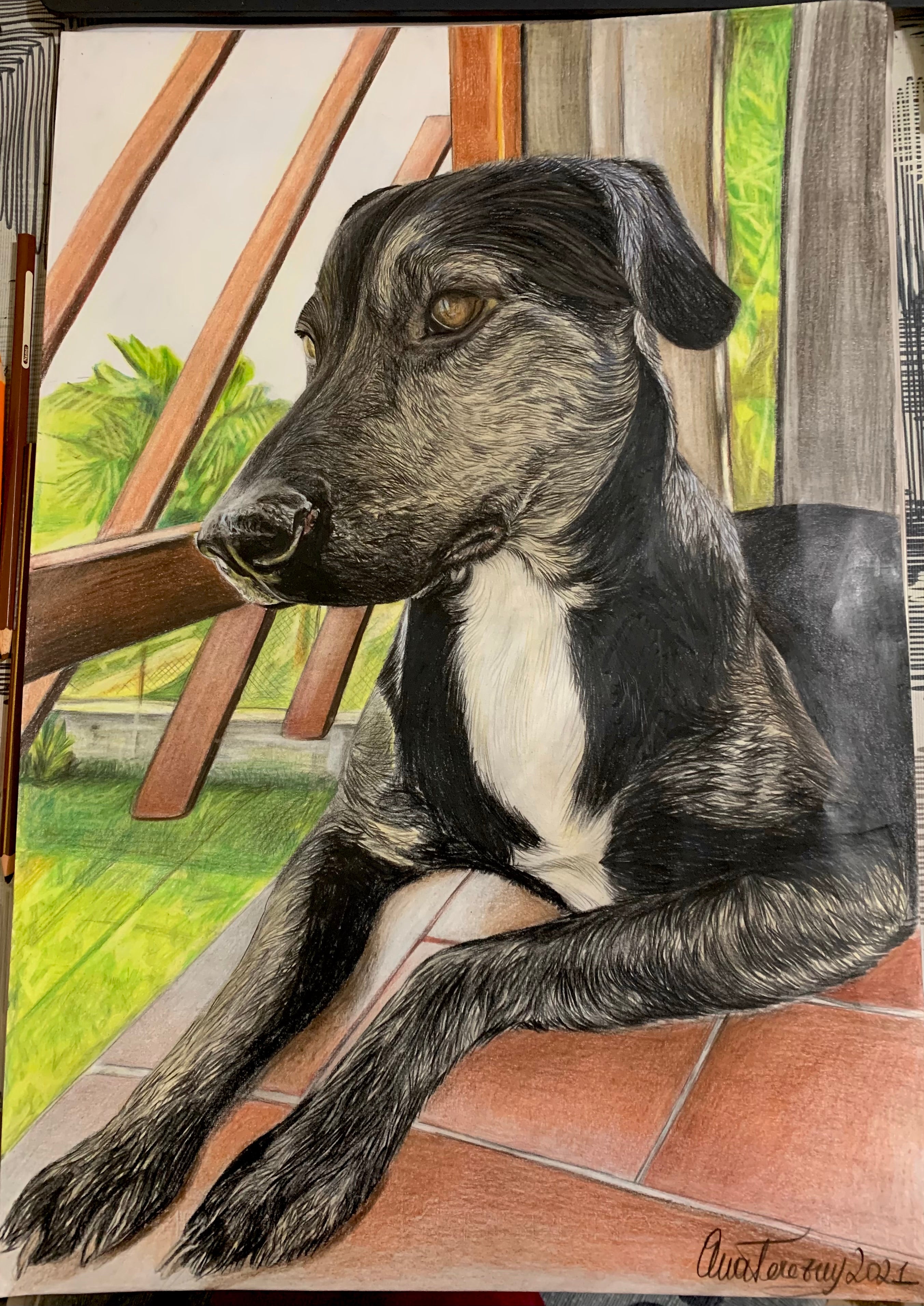 Ritratto su commissione