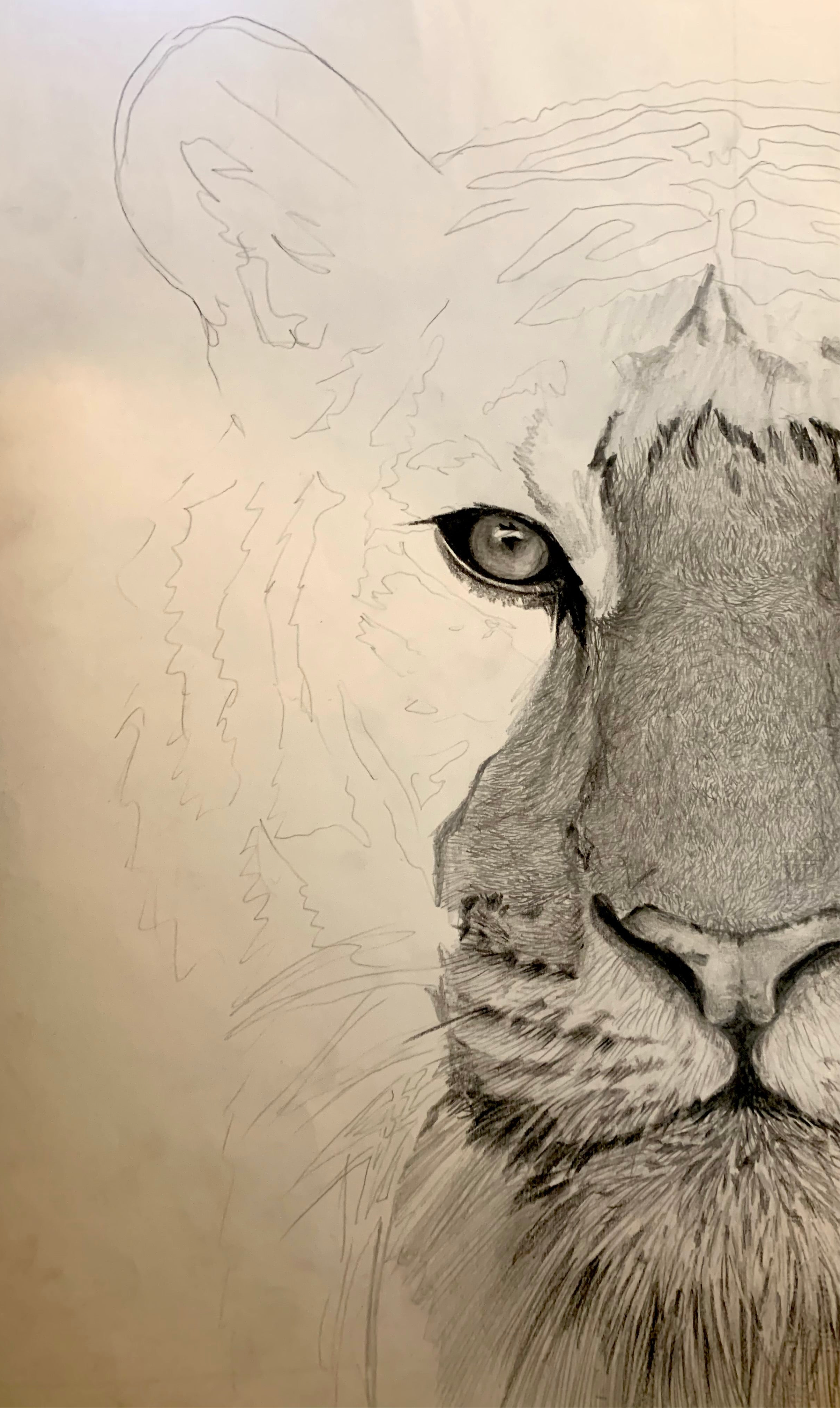 Ritratto Personalizzato a Matita - Commissione Artistica