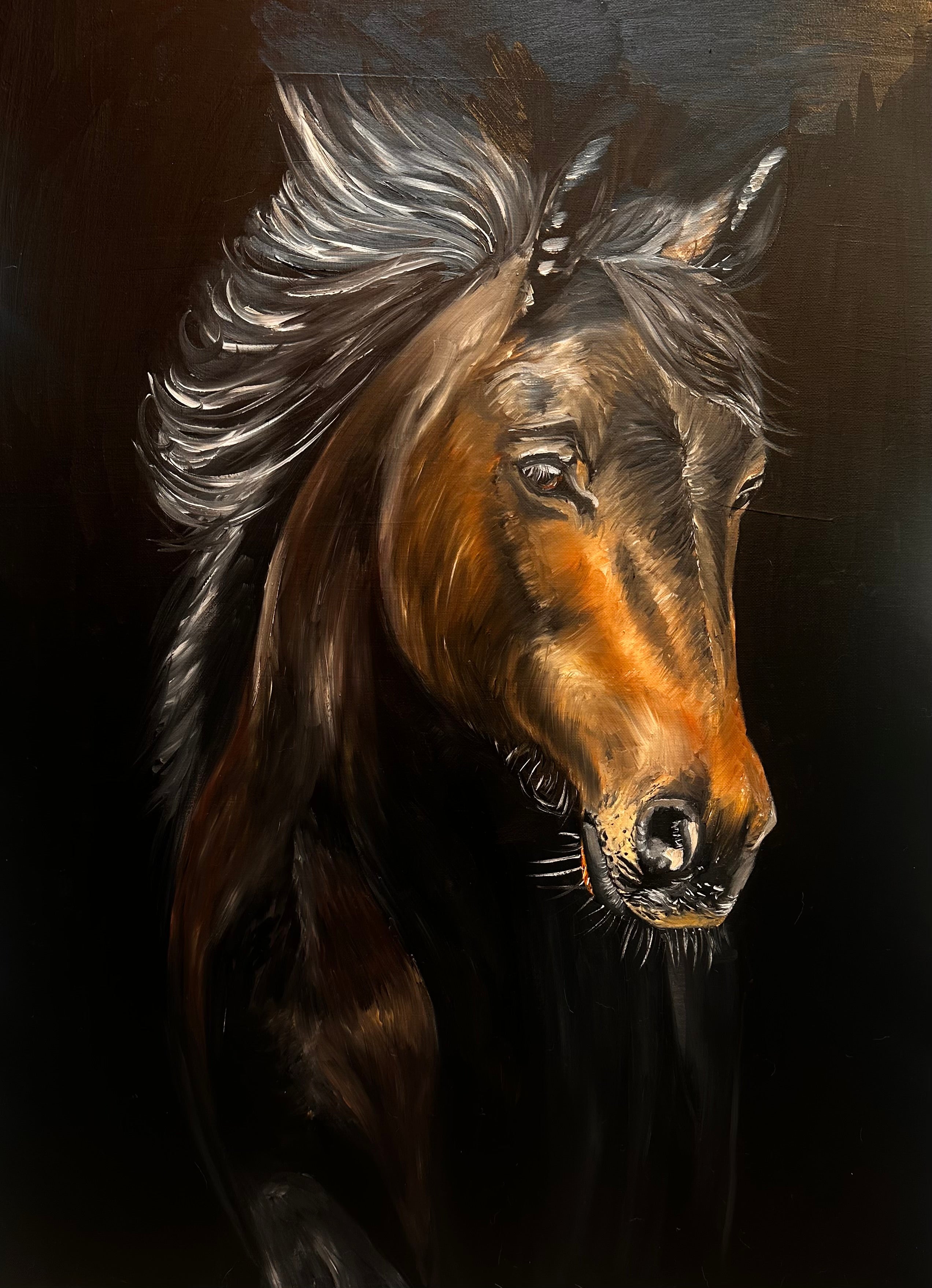 Dipinto a Olio su Tela - Cavallo Baio